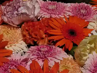 東京羽田 穴守稲荷神社の手水舎