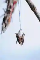 浄土寺(兵庫県)