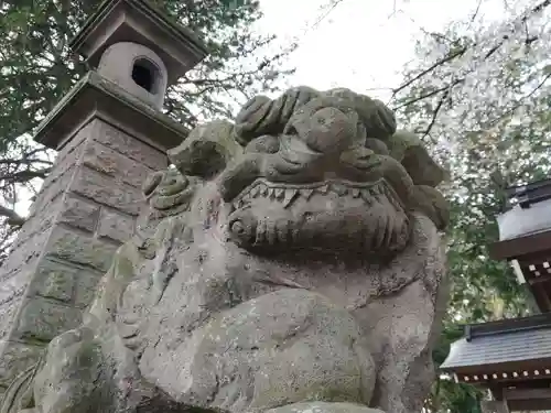 黒磯神社の狛犬