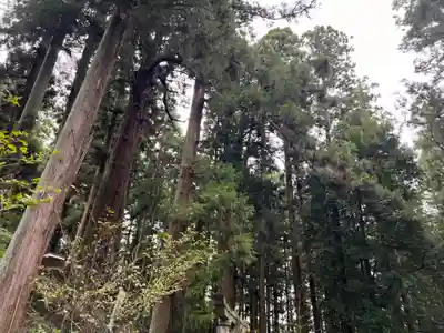 大宮温泉神社(栃木県)