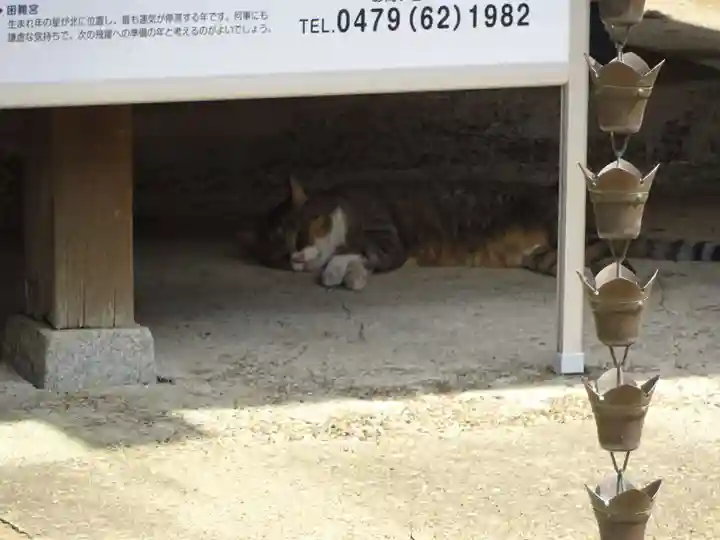 鎌数伊勢大神宮の動物