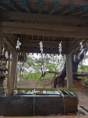 高山稲荷神社の手水舎