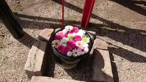 菅生神社の手水舎