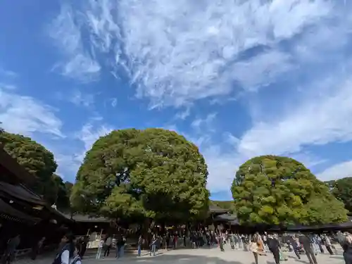 明治神宮(東京都)