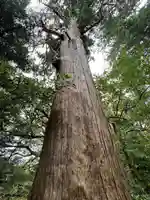 八雲神社(千葉県)
