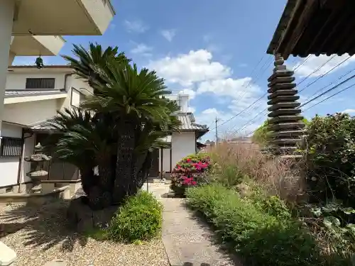 傳長寺（伝長寺）の{uncategorized: "未分類", other: "その他", undefined: "問題あり", building: "その他建物", grave: "お墓", sacred_gate: "鳥居", guardian: "狛犬", statue: "像", buddha: "仏像", history: "歴史", nature: "自然", garden: "庭園", animal: "動物", pagoda: "塔", temizu: "手水舎", mountain_gate: "山門・神門", sanctuary: "本殿・本堂", subordinate: "末社・摂社", art: "芸術", scenery: "景色", jizo: "地蔵", ema: "絵馬", goshuin: "御朱印", omikuji: "おみくじ", items: "授与品その他", amulet: "お守り", goshuincho: "御朱印帳", eats: "食事", festival: "お祭り", votive_dance: "神楽", shichigosan: "七五三参", wedding: "結婚式", experience: "体験その他", initially: "初詣", around: "周辺", anti_infection: "感染症対策"}