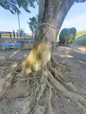 虚空蔵尊(群馬県)