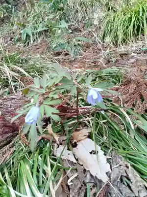 白狐山光星寺(山形県)