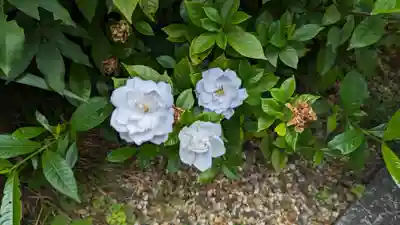 尊陽院(京都府)