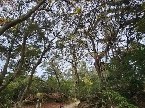 春日大社(奈良県)