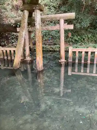 鹿島神宮(茨城県)