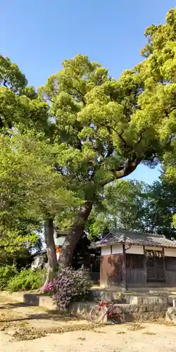 常磐神社(京都府)