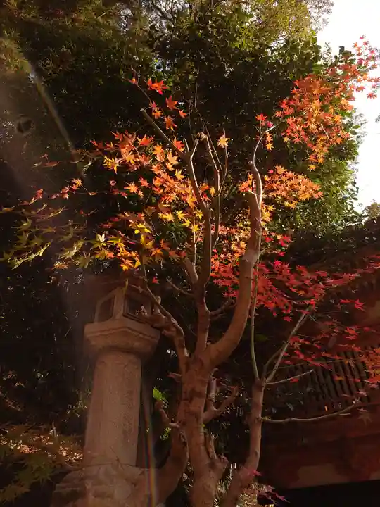 宝厳寺(滋賀県)