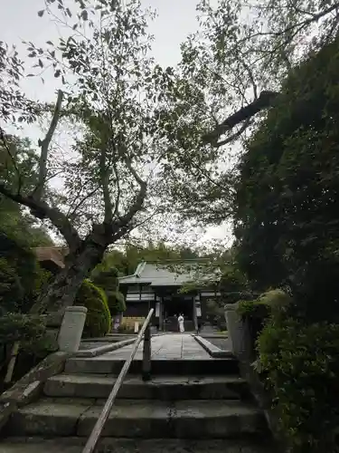 報国寺(神奈川県)