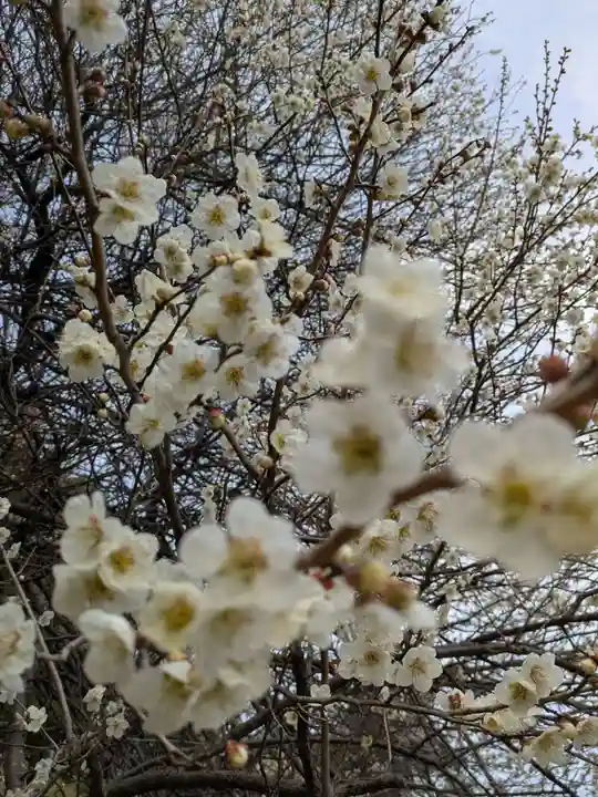石内のお大師さん 金剛院(広島県)