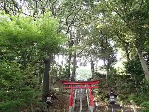 茅ヶ崎杉山神社の鳥居