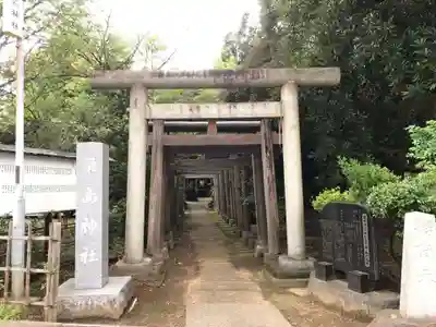 厳嶋神社の鳥居