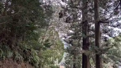 天一神社の自然