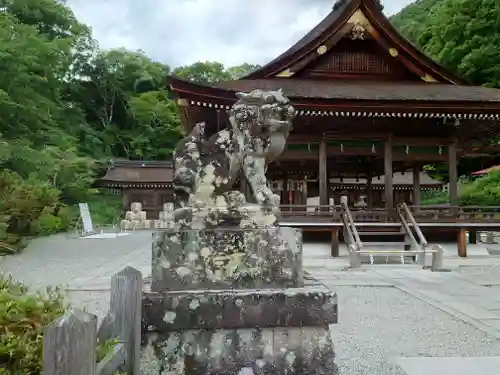 出雲大神宮の狛犬