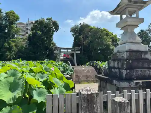 伊賀八幡宮(愛知県)