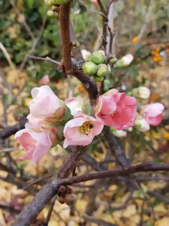 成子天神社(東京都)