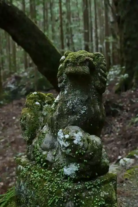 地主神社(桑の川の鳥居杉)(高知県)