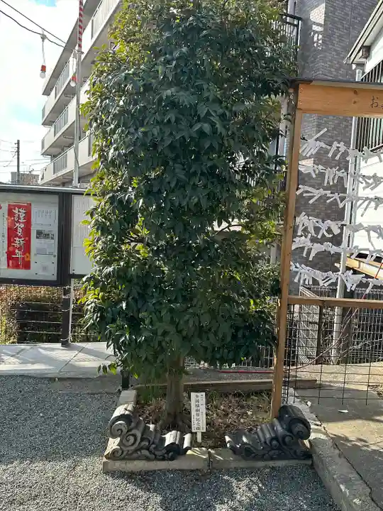 金山神社(神奈川県)