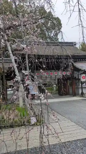平野神社(京都府)