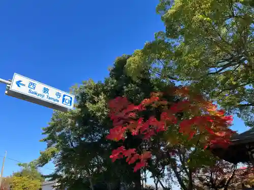 西教寺(滋賀県)