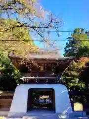 大正寺(東京都)