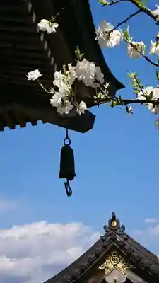 金蔵院のその他建物