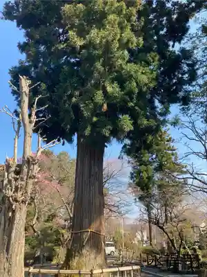永福寺(長野県)
