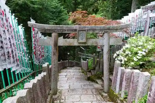 脳天大神龍王院の鳥居