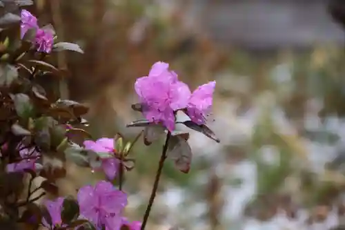 豊景神社の庭園