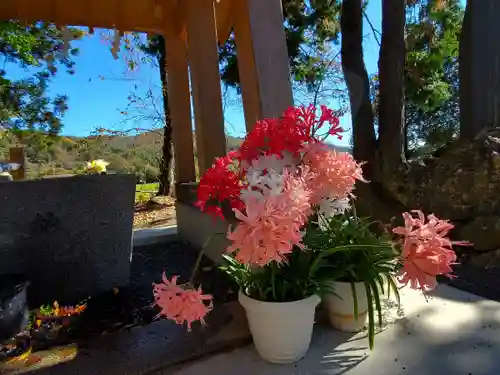 高司神社〜むすびの神の鎮まる社〜の自然