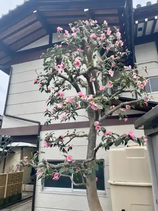 清源寺の{uncategorized: "未分類", other: "その他", undefined: "問題あり", building: "その他建物", grave: "お墓", sacred_gate: "鳥居", guardian: "狛犬", statue: "像", buddha: "仏像", history: "歴史", nature: "自然", garden: "庭園", animal: "動物", pagoda: "塔", temizu: "手水舎", mountain_gate: "山門・神門", sanctuary: "本殿・本堂", subordinate: "末社・摂社", art: "芸術", scenery: "景色", jizo: "地蔵", ema: "絵馬", goshuin: "御朱印", omikuji: "おみくじ", items: "授与品その他", amulet: "お守り", goshuincho: "御朱印帳", eats: "食事", festival: "お祭り", votive_dance: "神楽", shichigosan: "七五三参", wedding: "結婚式", experience: "体験その他", initially: "初詣", around: "周辺", anti_infection: "感染症対策"}