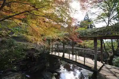 弓削神社(愛媛県)