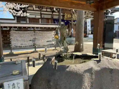 最勝院の手水舎