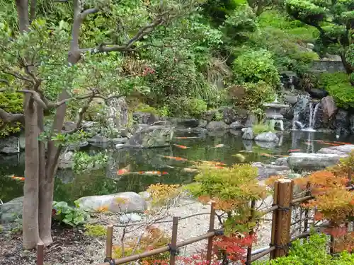 妙福寺の庭園