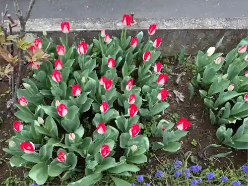 泉蔵寺(神奈川県)