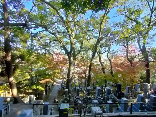 伊勢の国 四天王寺の景色