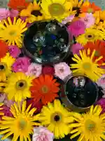 彌都加伎神社の手水舎