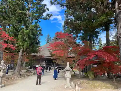 毛越寺(岩手県)