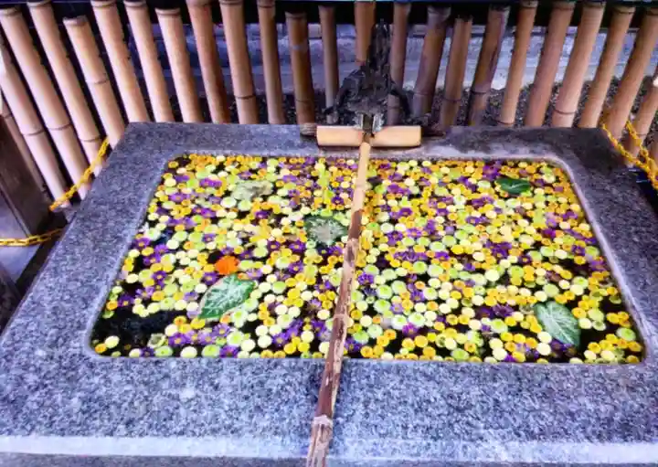 高円寺氷川神社(東京都)