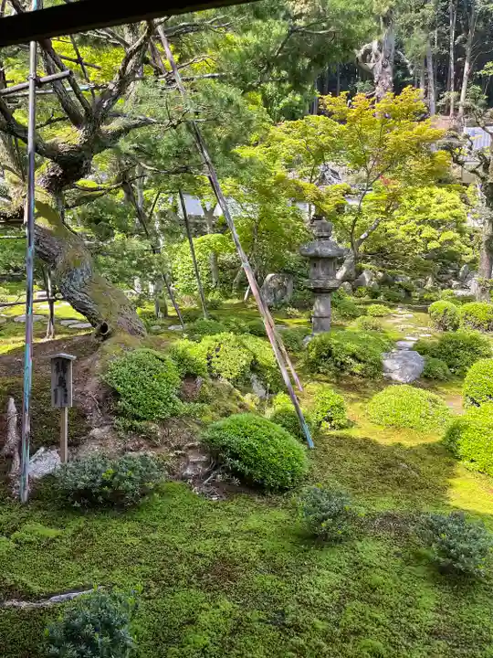 金剛寺(大阪府)