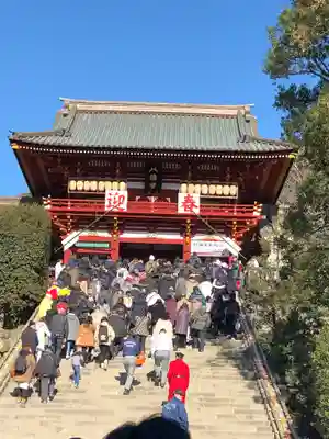 鶴岡八幡宮の初詣