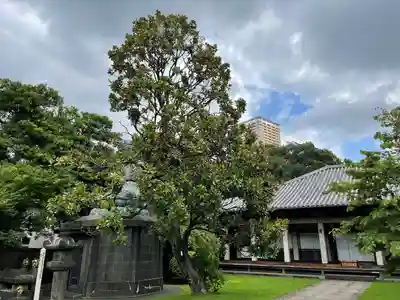 天王寺(東京都)