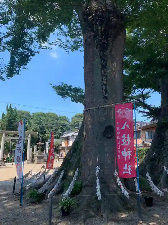 八枝神社(埼玉県)