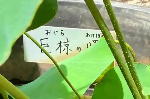 生田神社(兵庫県)