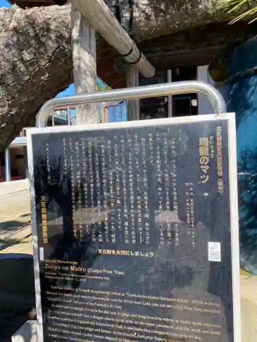 題経寺（柴又帝釈天）(東京都)